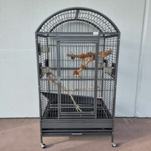 Parrots cage