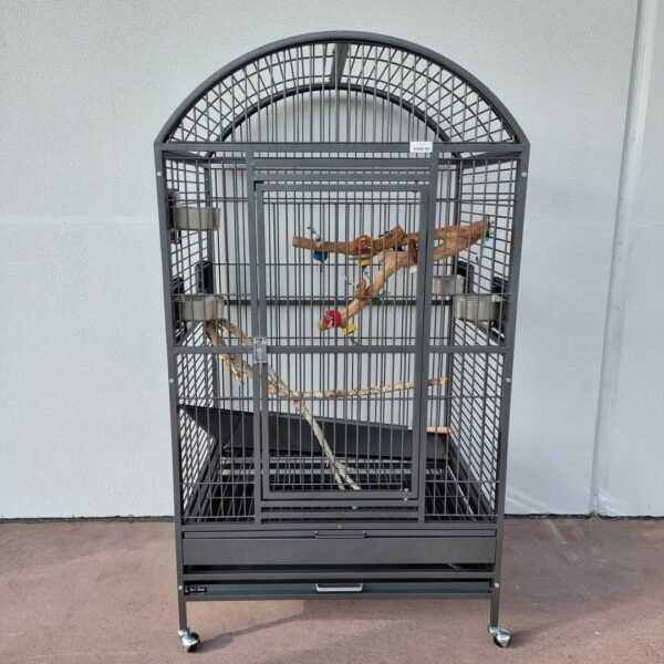 Parrots cage